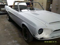 230904 Shelby Mustang (5).JPG